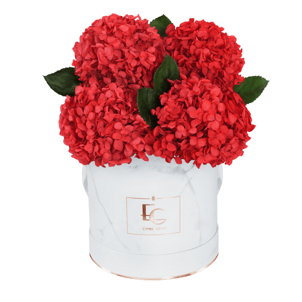 Signature Hydrangea Infinity Rosebox | Vibrant Red | S