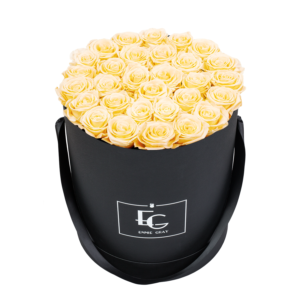 CLASSIC INFINITY ROSEBOX | CHAMPAGNE | L