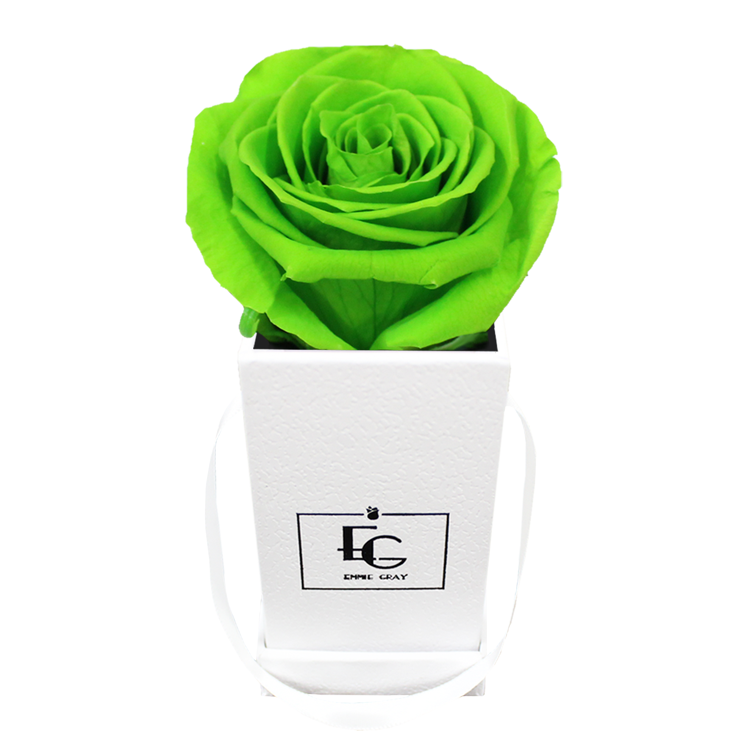 CLASSIC INFINITY ROSEBOX | GREEN GLOW | XXS