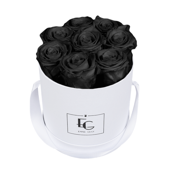 CLASSIC INFINITY ROSEBOX | BLACK BEAUTY | S