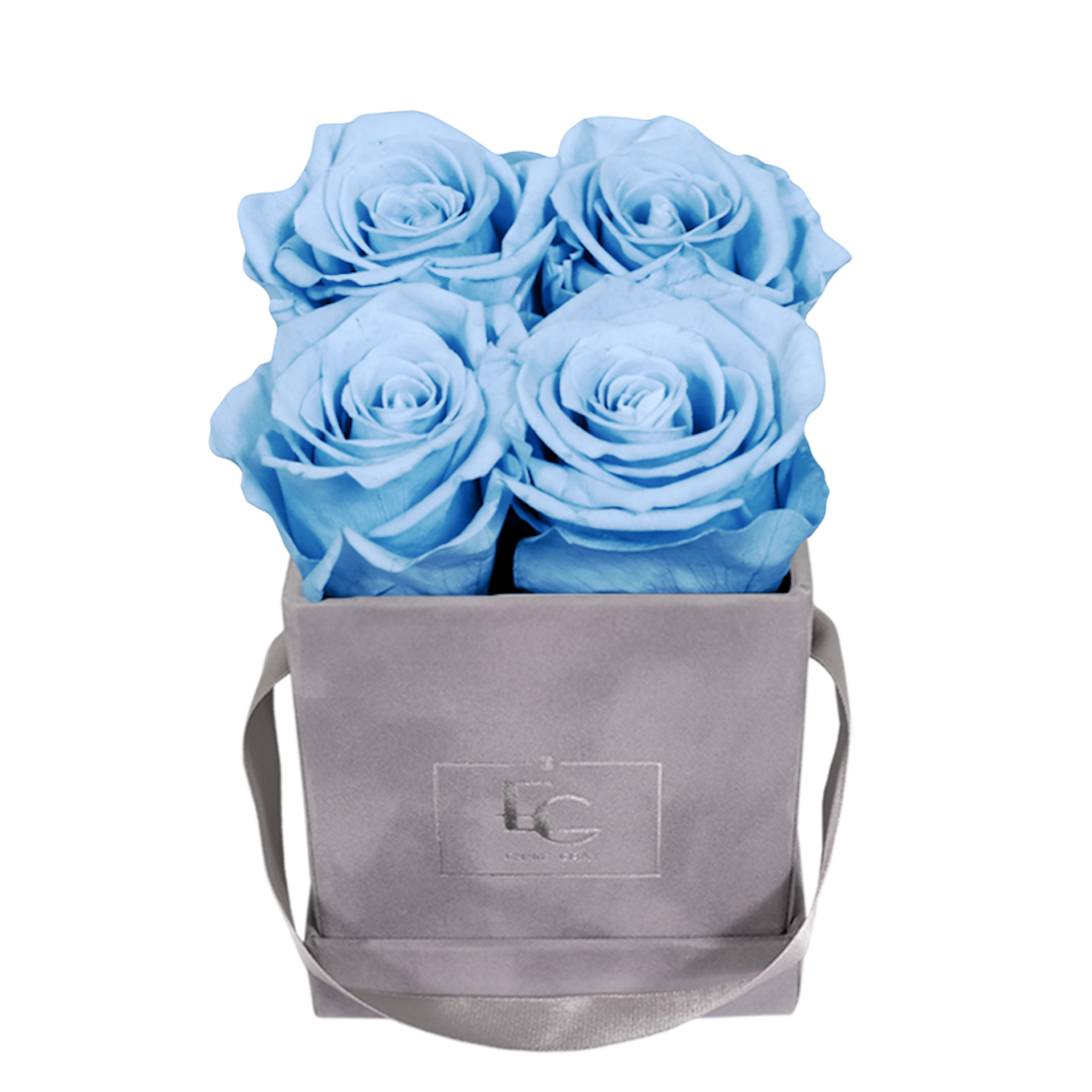 CLASSIC INFINITY ROSEBOX | BABY BLUE | XS