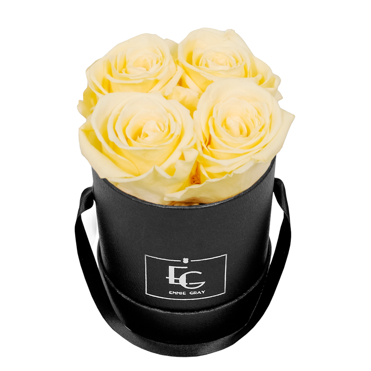 CLASSIC INFINITY ROSEBOX | CHAMPAGNE | XS