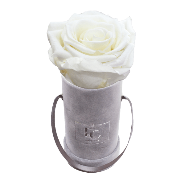 CLASSIC INFINITY ROSEBOX | PURE WHITE | XXS