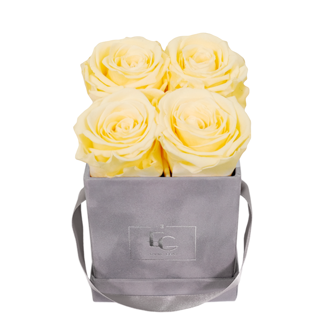 CLASSIC INFINITY ROSEBOX | CHAMPAGNE | XS