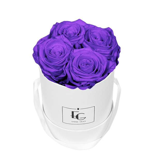 CLASSIC INFINITY ROSEBOX | VIOLET VAIN | XS