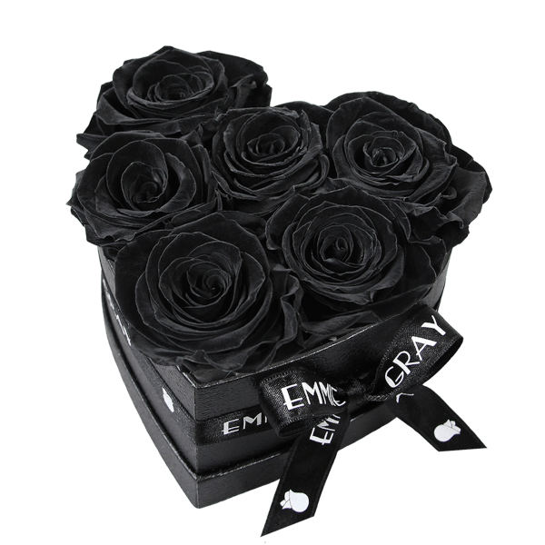 Classic Infinity Rosebox | Black Beauty | S