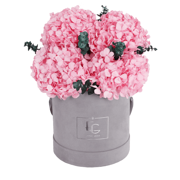 Signature Hydrangea Infinity Rosebox | Bridal Pink | S