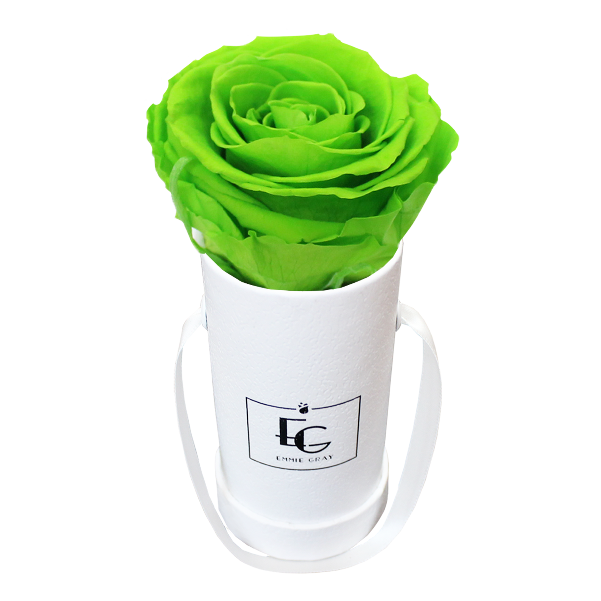 CLASSIC INFINITY ROSEBOX | GREEN GLOW | XXS