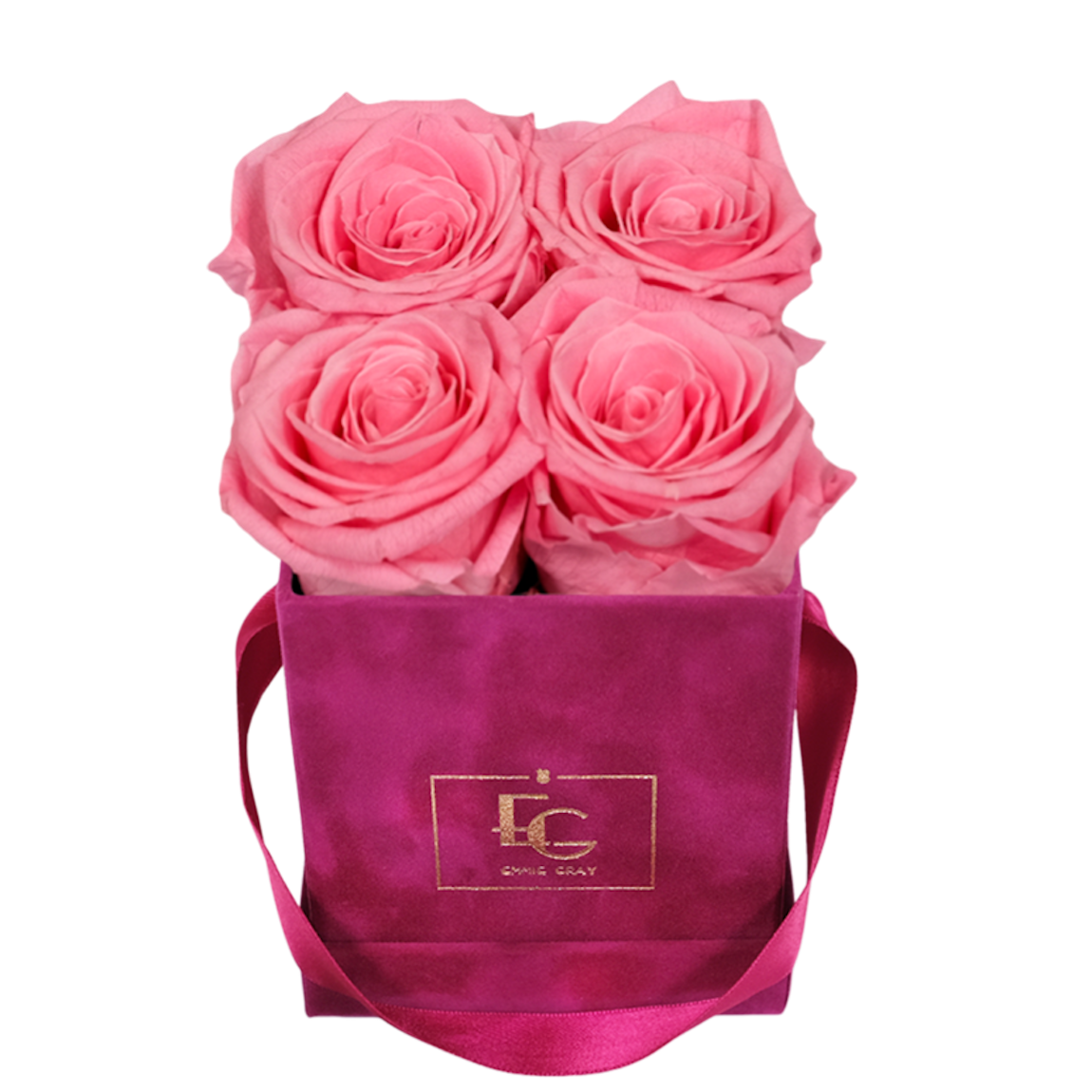 CLASSIC INFINITY ROSEBOX | BABY PINK | XS