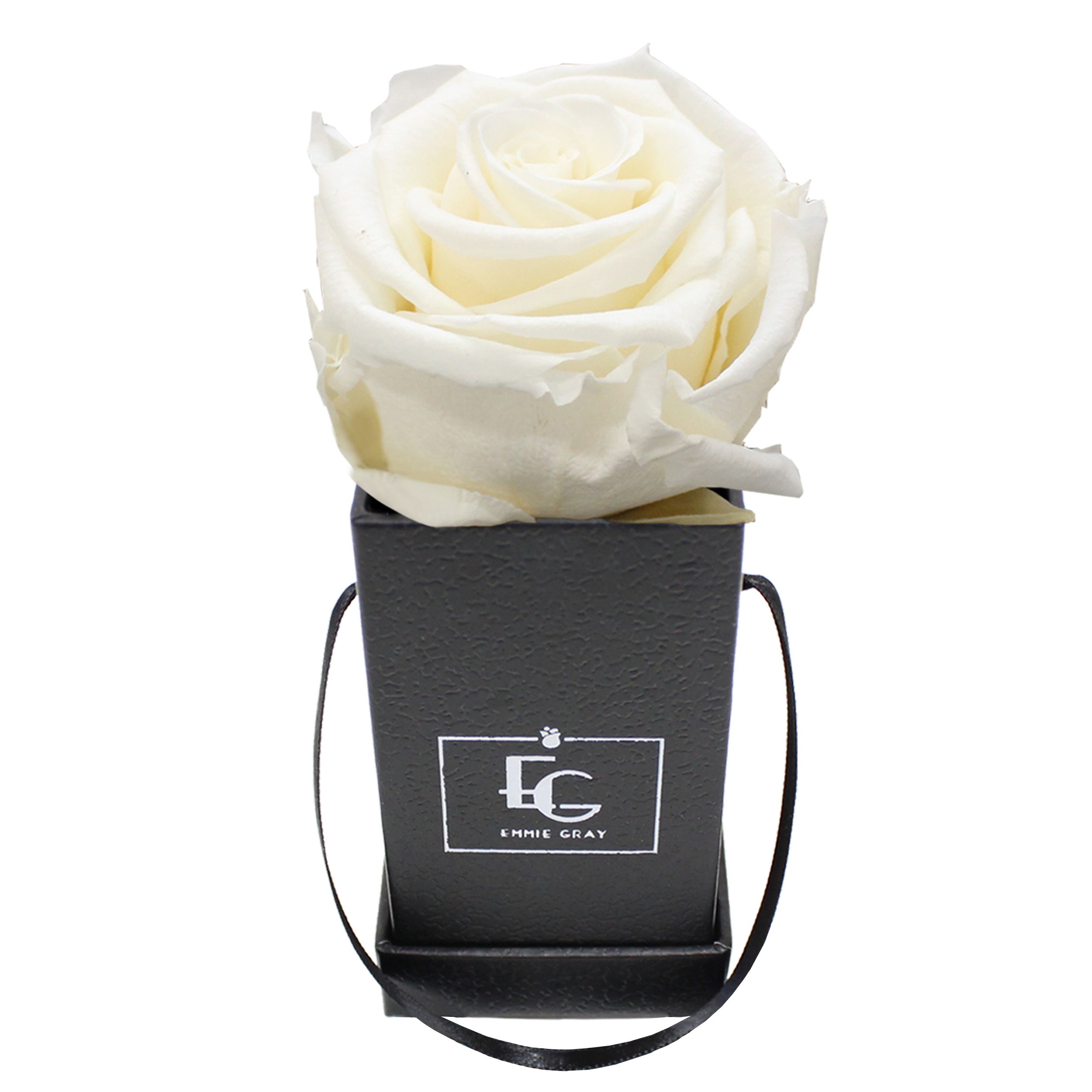 CLASSIC INFINITY ROSEBOX | PURE WHITE | XXS