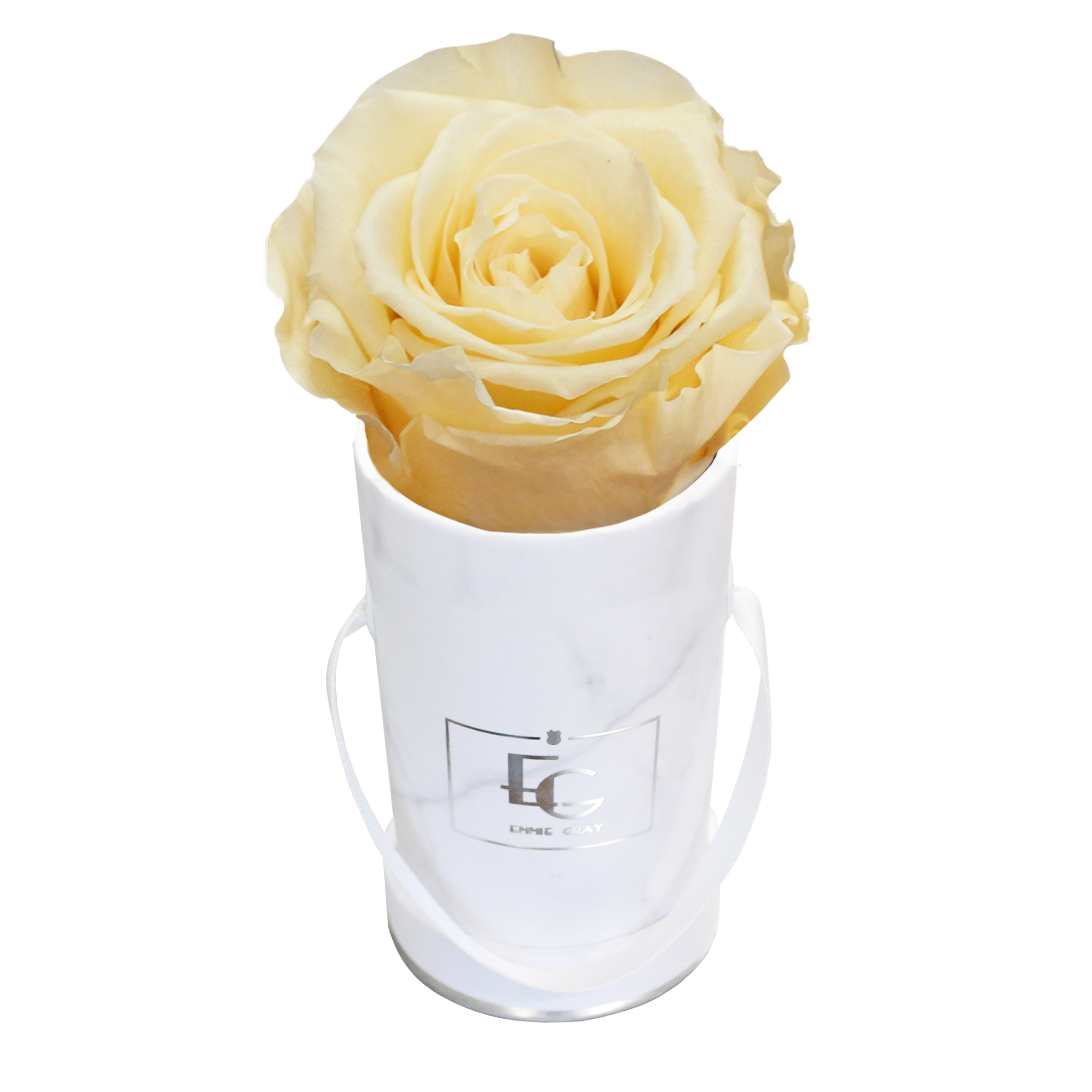 CLASSIC INFINITY ROSEBOX | CHAMPAGNE | XXS