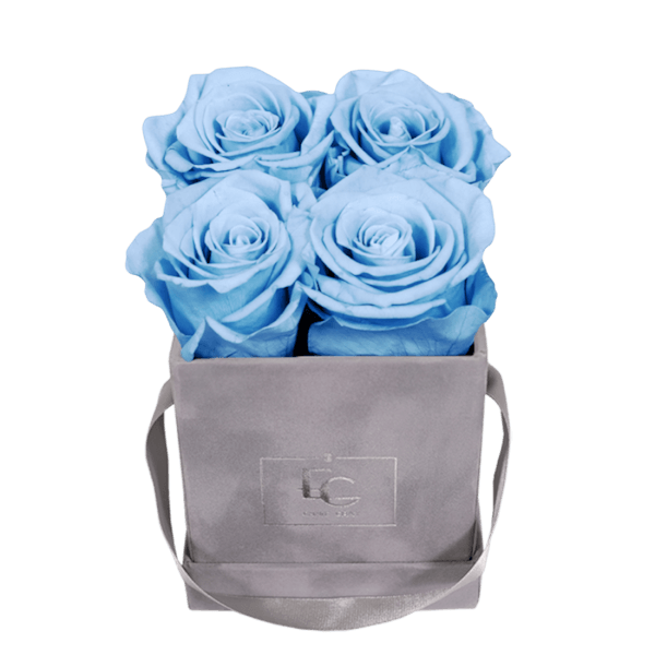 CLASSIC INFINITY ROSEBOX | BABY BLUE | XS