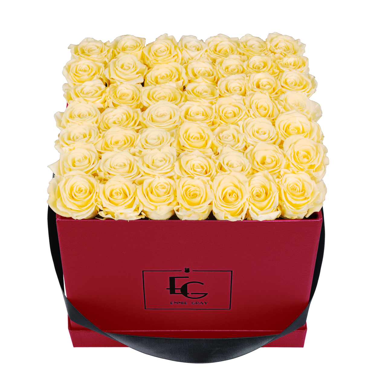 CLASSIC INFINITY ROSEBOX | CHAMPAGNE | L