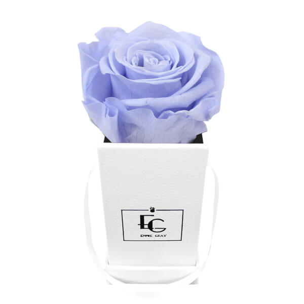 CLASSIC INFINITY ROSEBOX | COOL LAVENDER | XXS