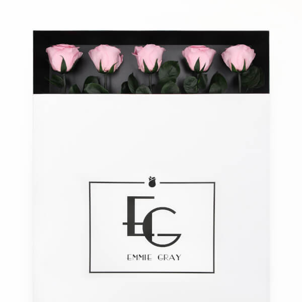 Long Stem Infinity Rose | Bridal Pink | 5 Roses