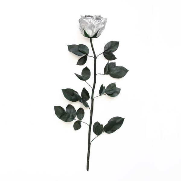 Long Stem Infinity Rose | Silver | 1 Rose