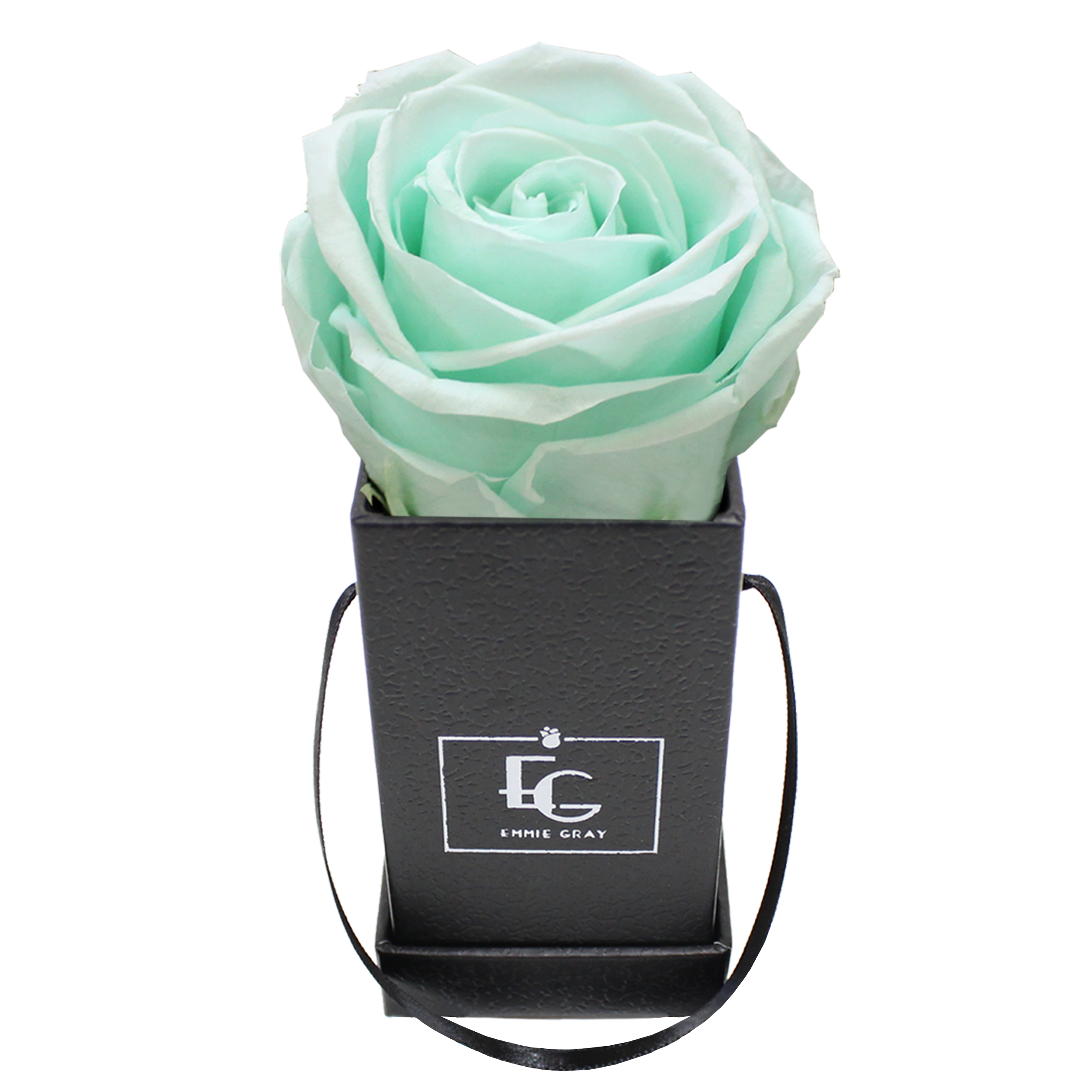 CLASSIC INFINITY ROSEBOX | MINTY GREEN | XXS