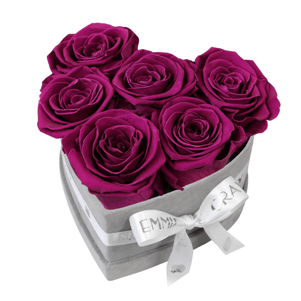 Classic Infinity Rosebox | Velvet Plum | S