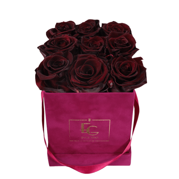 CLASSIC INFINITY ROSEBOX | BURGUNDY | S