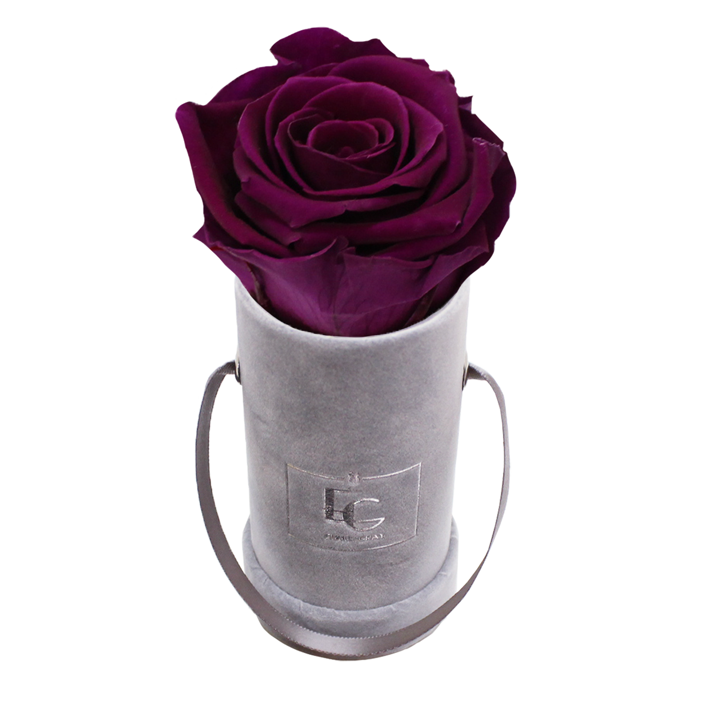 CLASSIC INFINITY ROSEBOX | VELVET PLUM | XXS