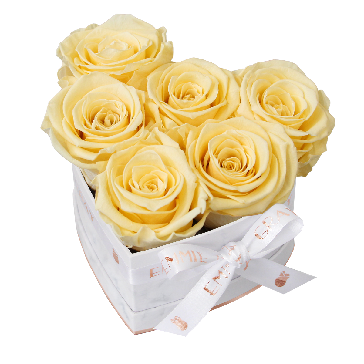 Classic Infinity Rosebox | Champagne | S