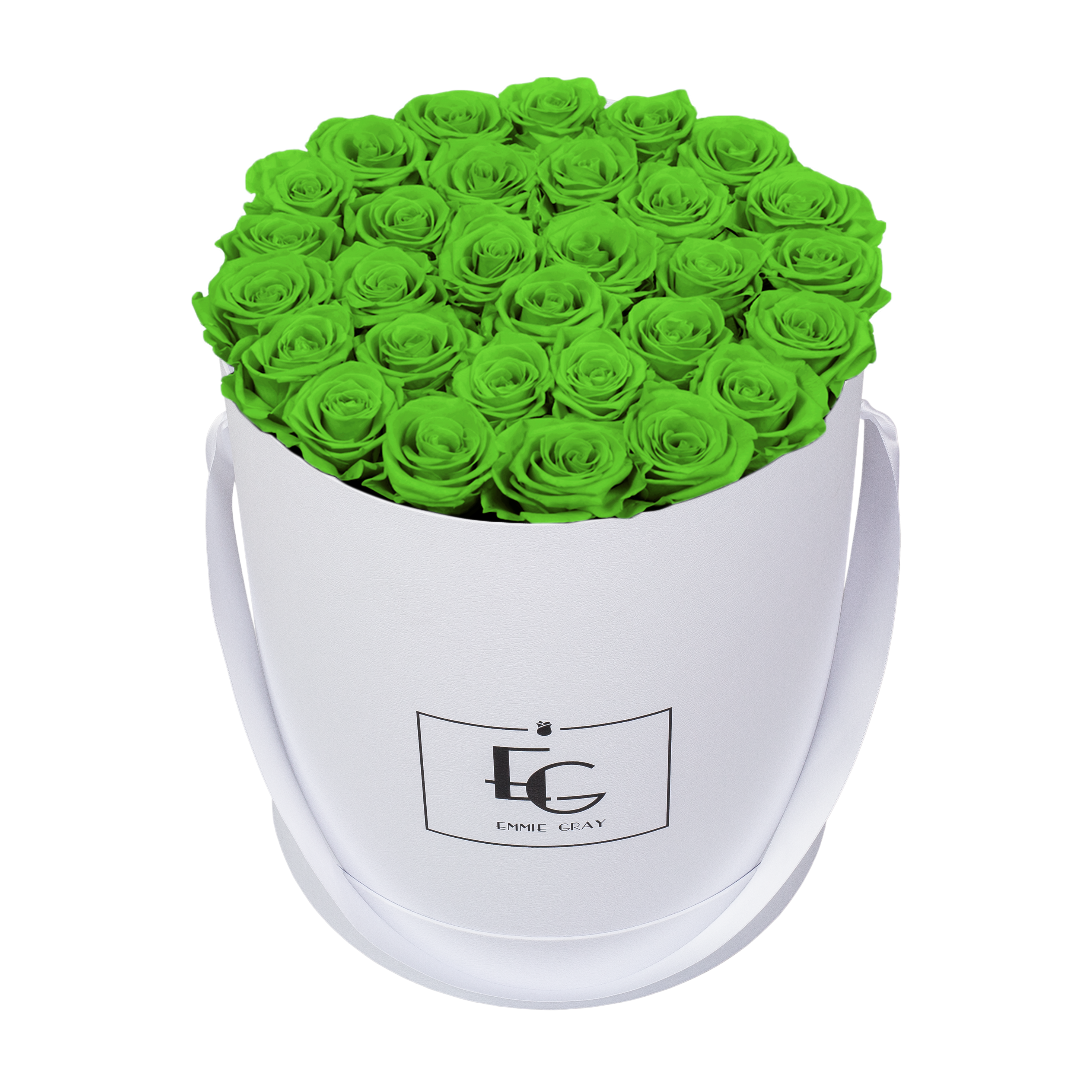 CLASSIC INFINITY ROSEBOX | GREEN GLOW | L