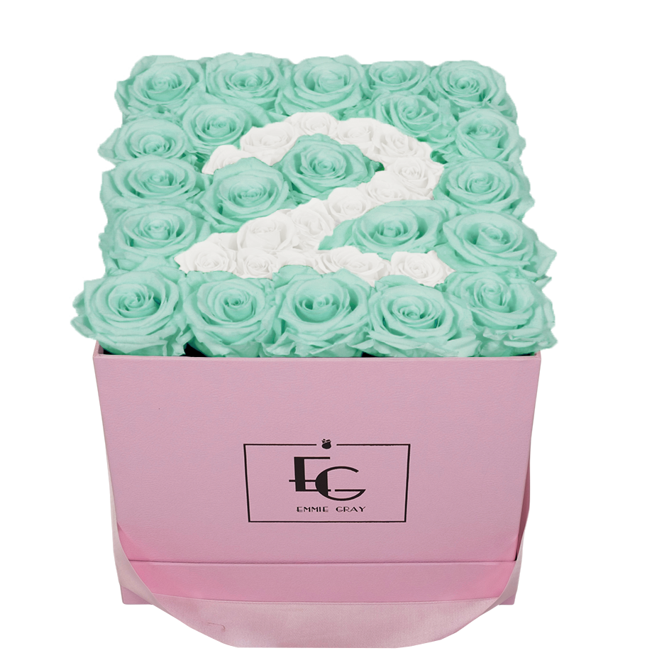 NUMBER INFINITY ROSEBOX | MINTY GREEN & PURE WHITE | M
