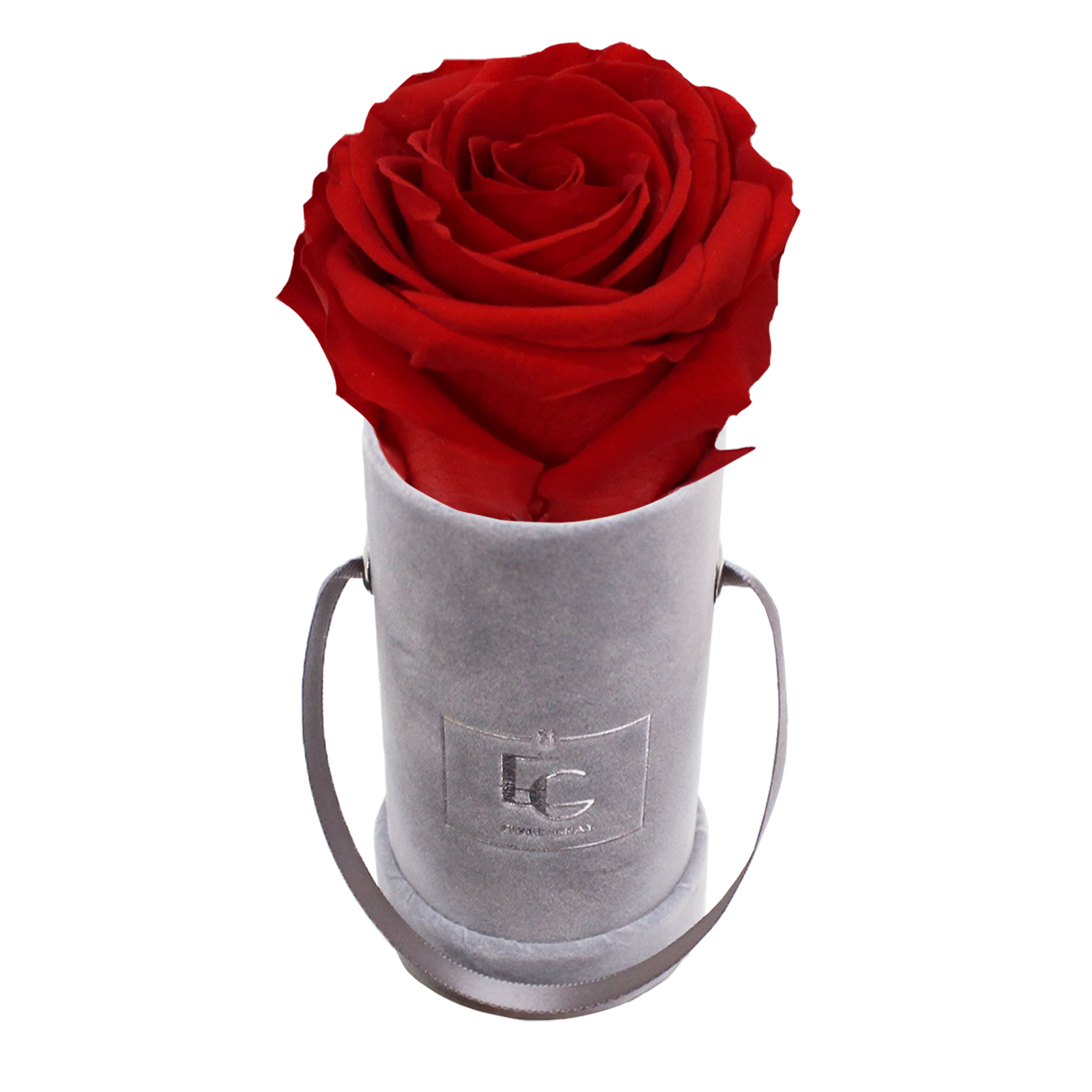 CLASSIC INFINITY ROSEBOX | VIBRANT RED | XXS