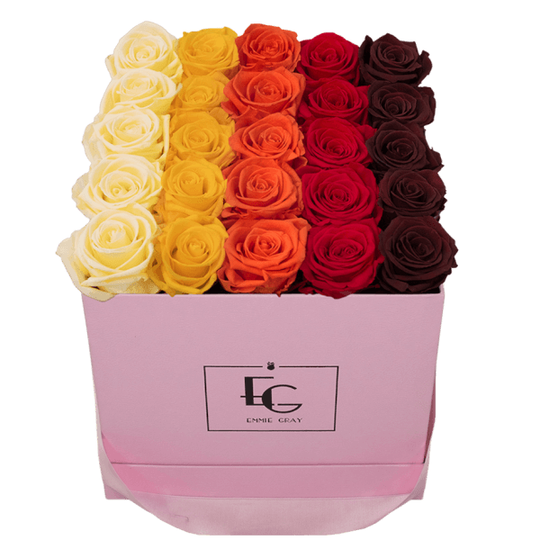 SHADES INFINITY ROSEBOX | CHAMPAGNE & PERFECT PEACH & ORANGE FLAME & VIBRANT RED & BURGUNDY | M