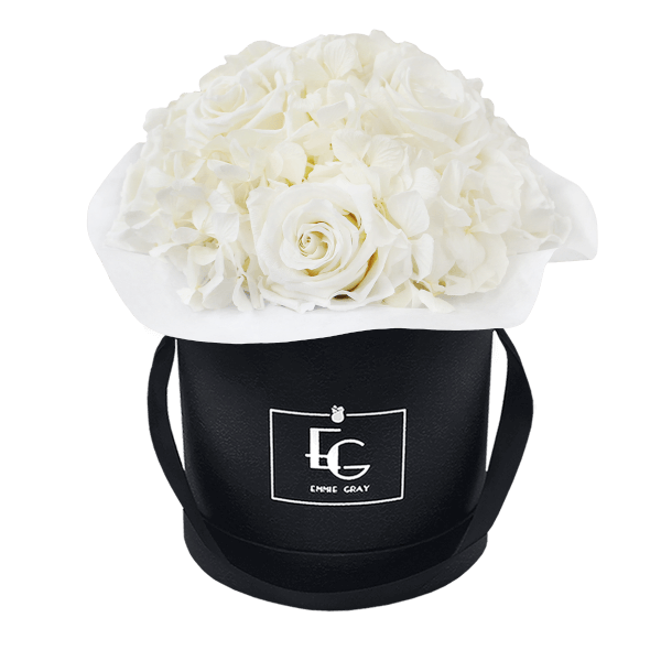 Splendid Hydrangea Infinity Rosebox | Pure White | S