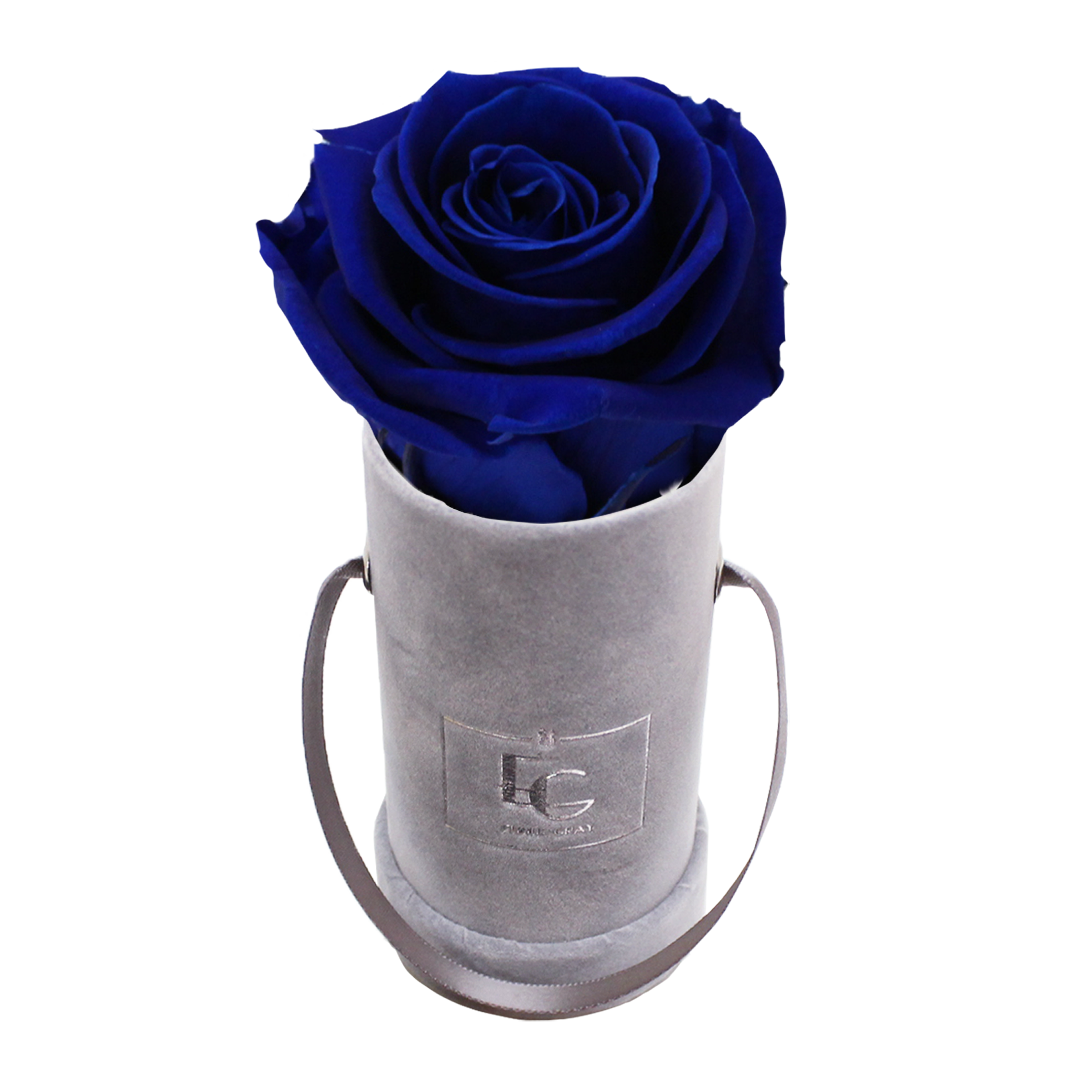 CLASSIC INFINITY ROSEBOX | OCEAN BLUE | XXS