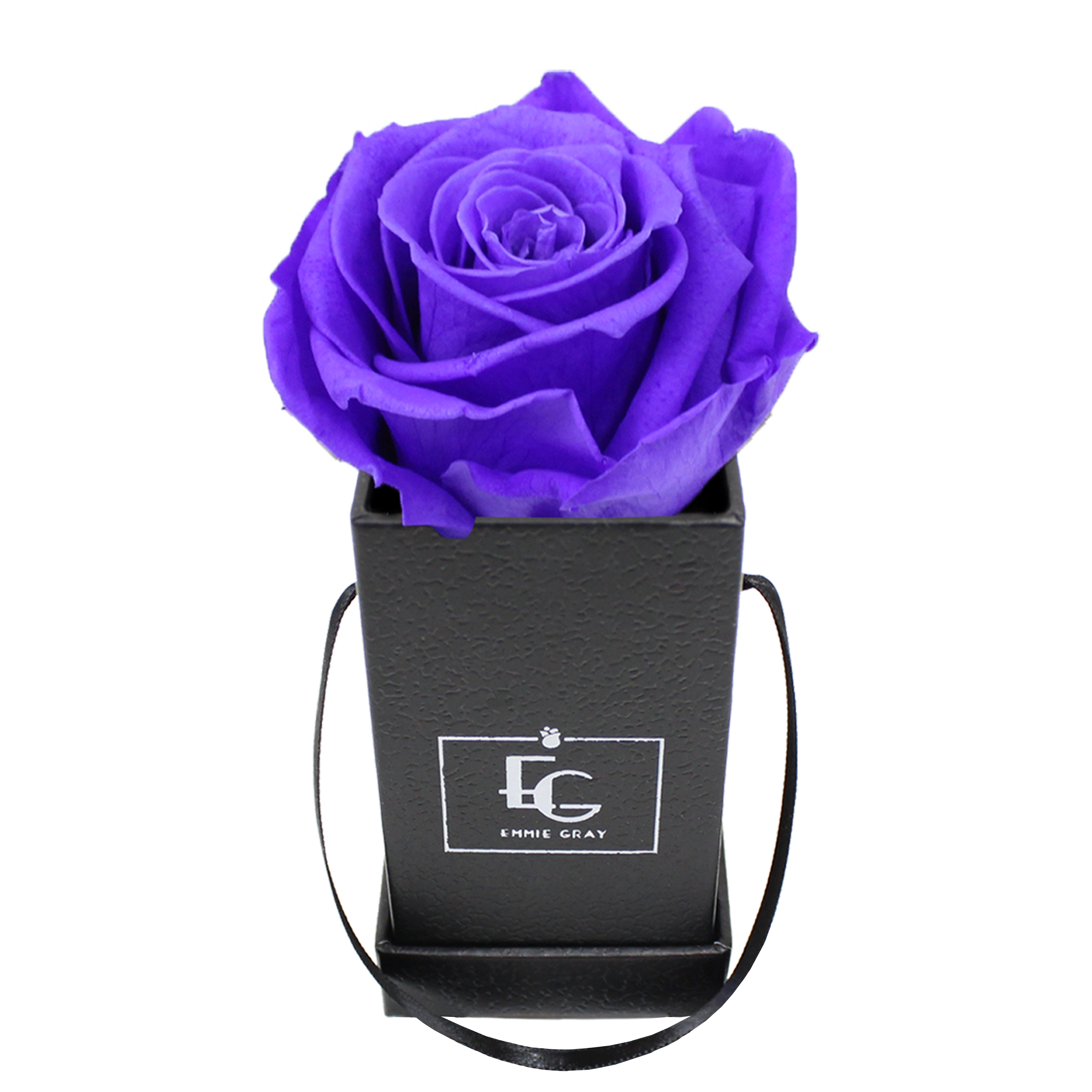CLASSIC INFINITY ROSEBOX | VIOLET VAIN | XXS
